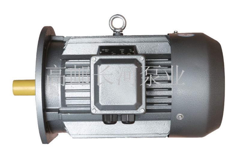 SMT系列永磁同步變頻電動(dòng)機(jī)